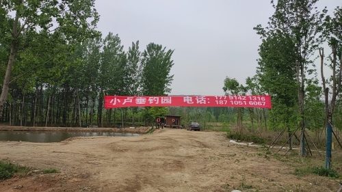 小卢垂钓园