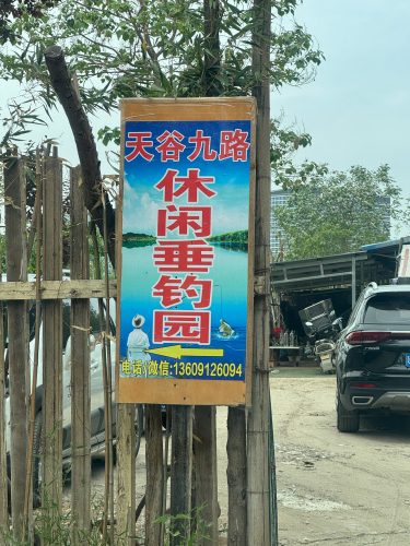 天谷九路休闲垂钓园