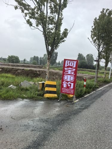 阿宝垂钓