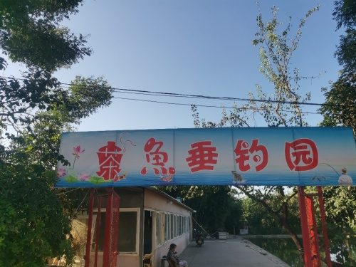 茶鱼垂钓园