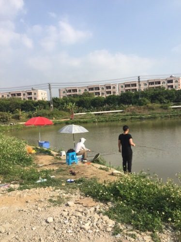 佳乐钓鱼场