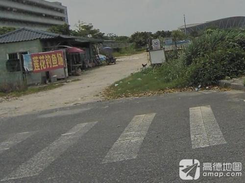莲花钓鱼场