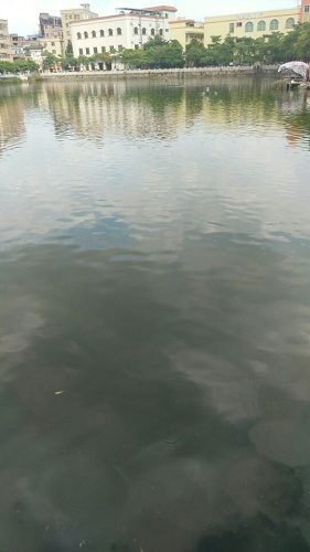京山钓鱼场