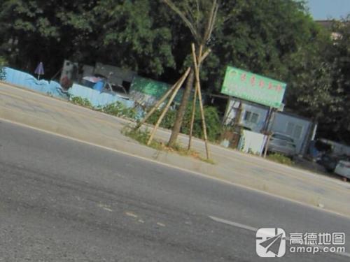 东莞市茶山民意钓鱼场