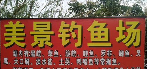 美景钓鱼场