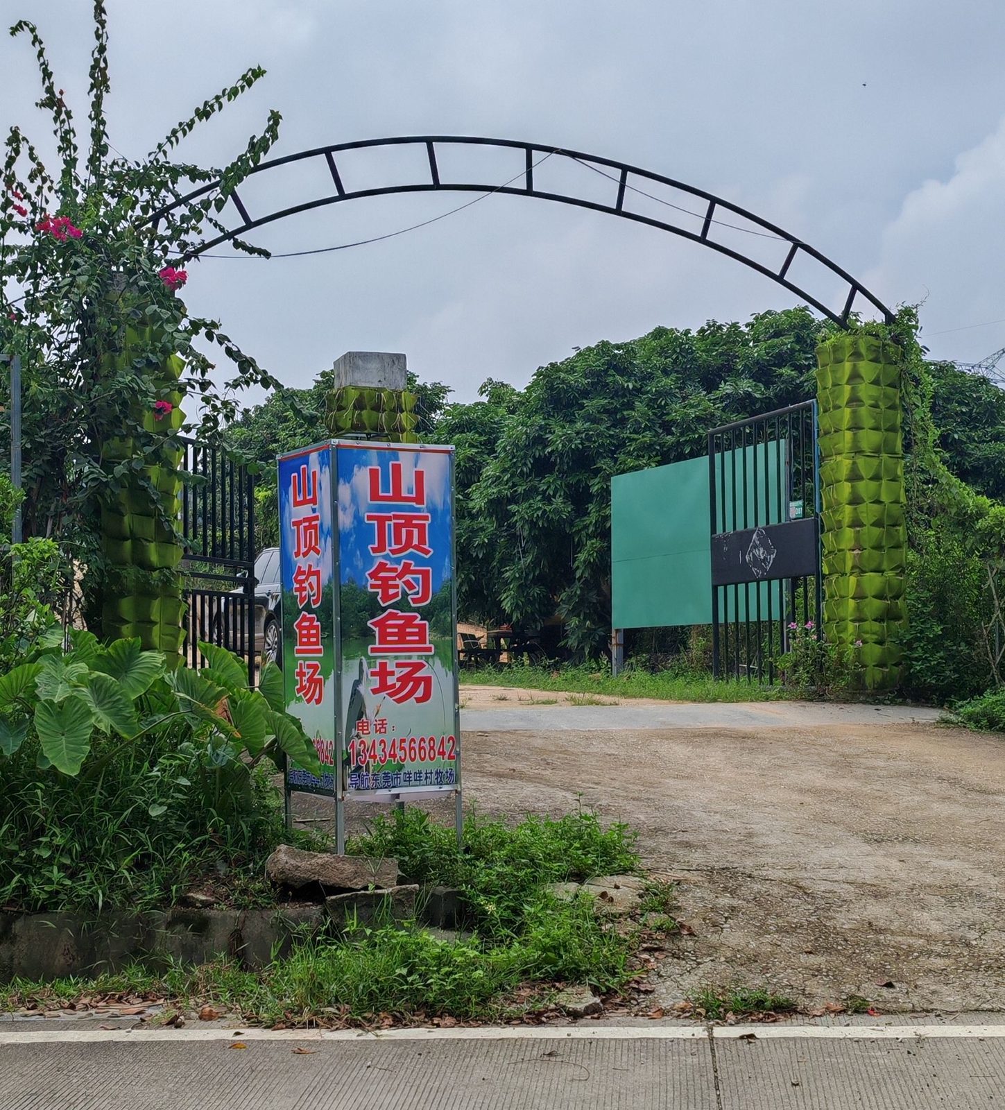 山顶钓鱼场