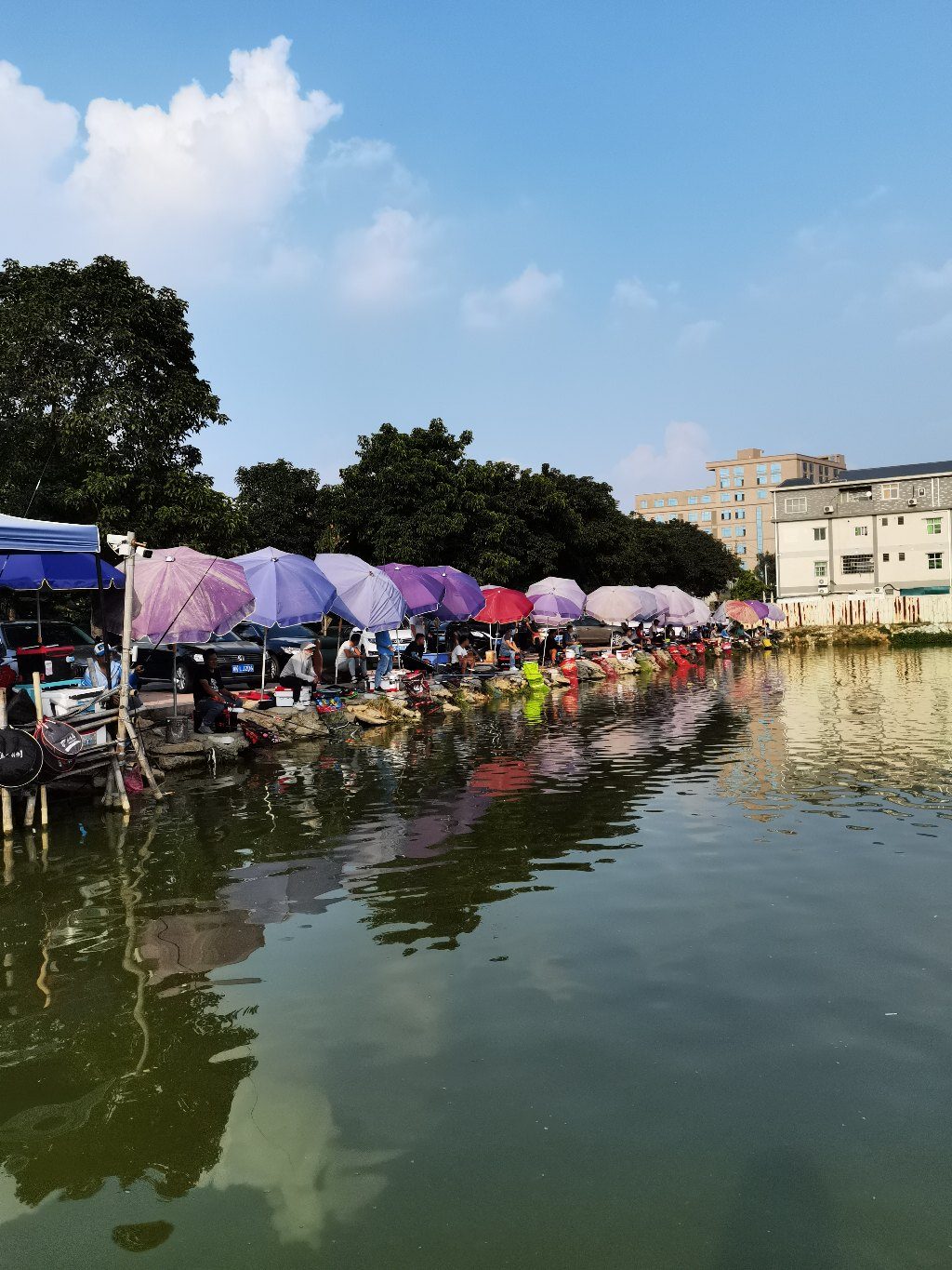 山厦钓鱼场