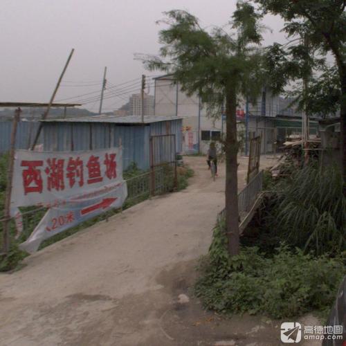 西湖钓鱼场