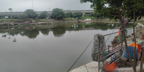 客家围钓鱼场