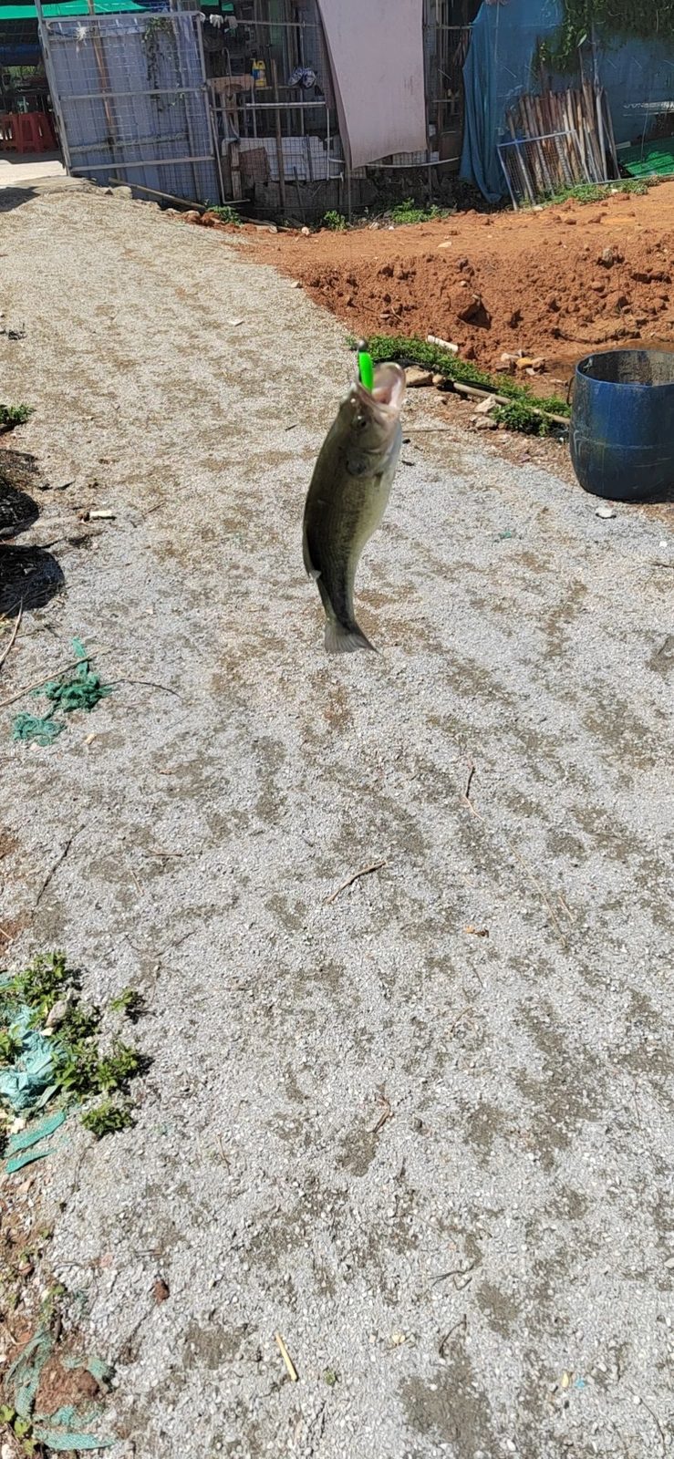 东莞市海堤钓场