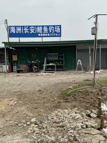 海洲(长安)鲤鱼钓场