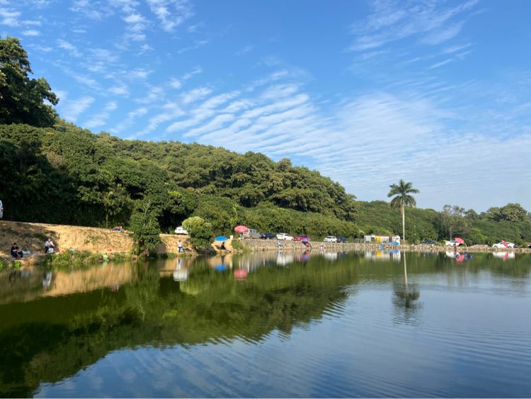 大神钓鱼场