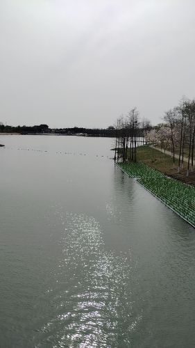 海边垂钓