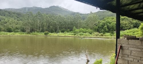 九号钓场