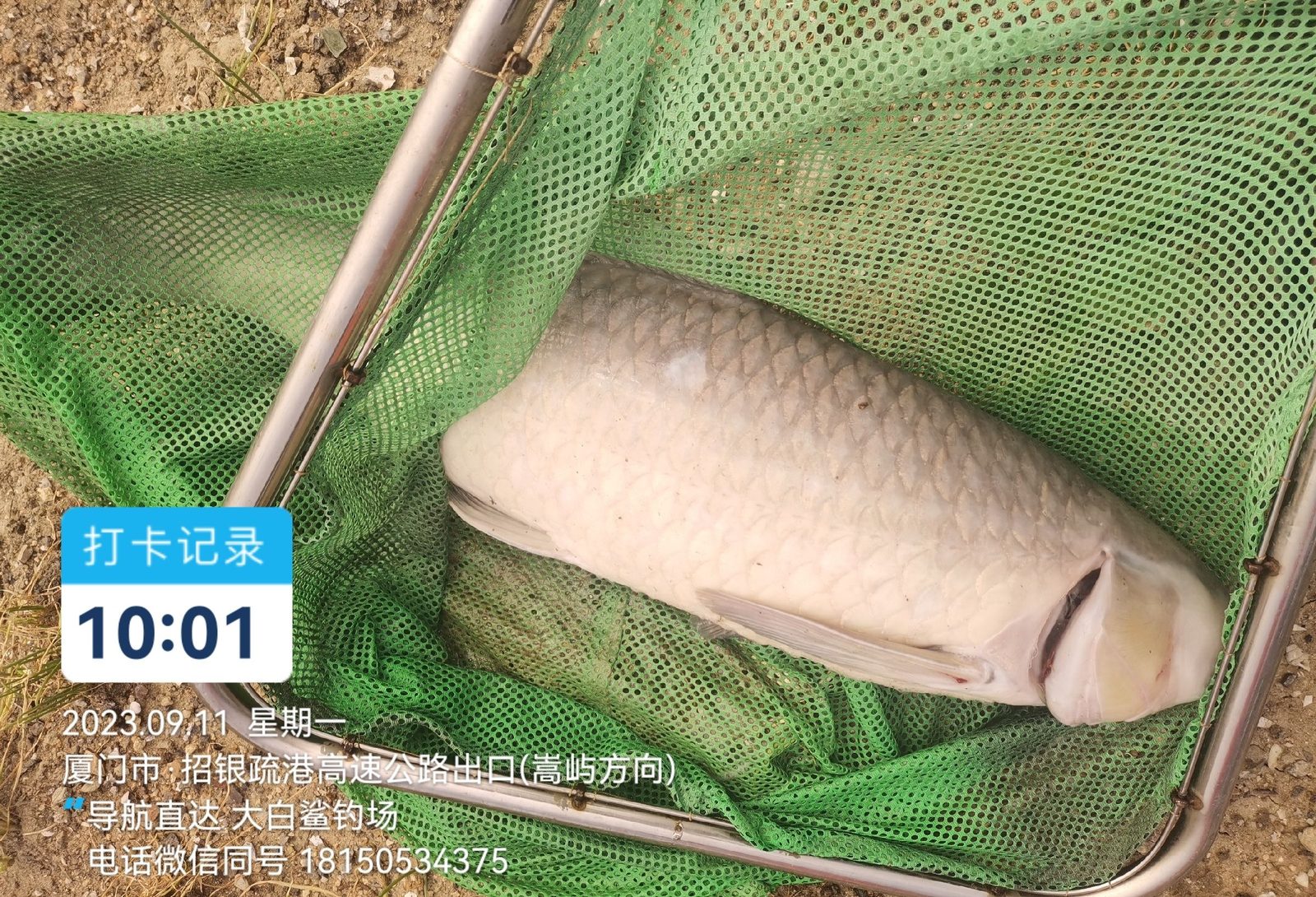 大白鲨钓场