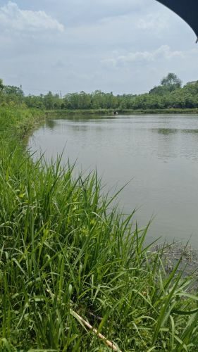 鲇鱼山水库钓场