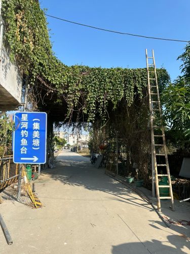 星河钓鱼台(集美塘)
