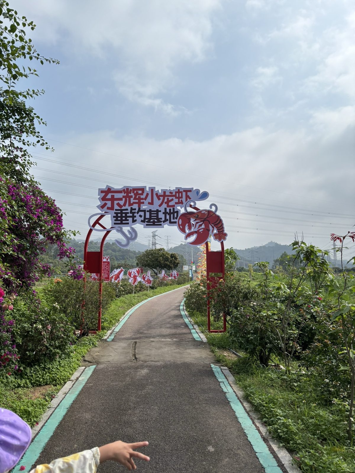东辉小龙虾垂钓基地