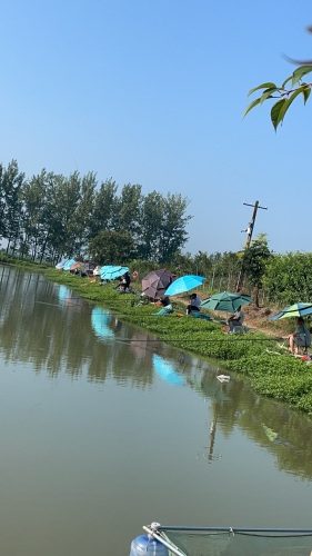 渔乐汇垂钓基地