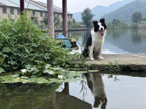 瑶塘钓鱼俱乐部