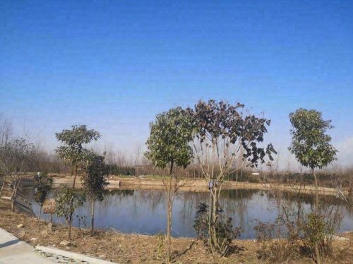东庙河边钓场