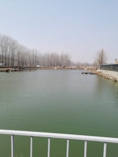 林子休闲垂钓园