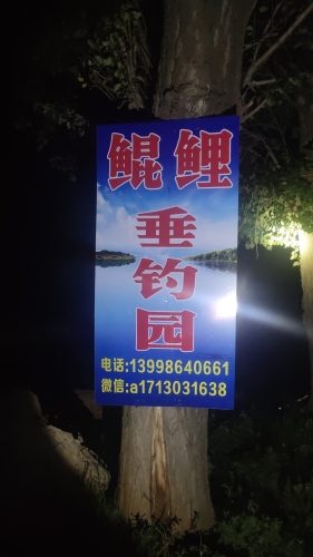 鲲鲤休闲野钓垂钓园