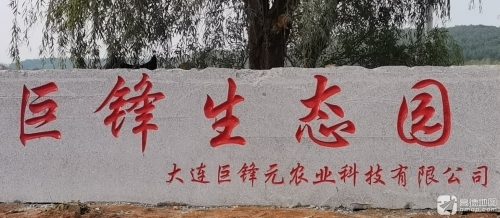 巨锋元生态钓场