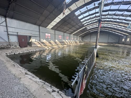 鸿峰垂钓园