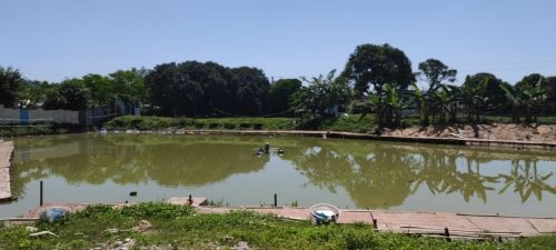 阿水钓场