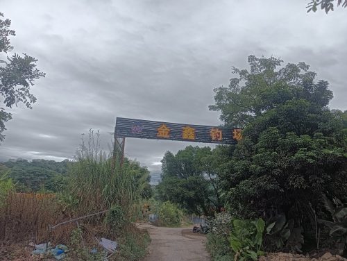 金鑫钓场