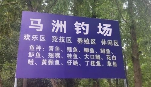 马洲钓场
