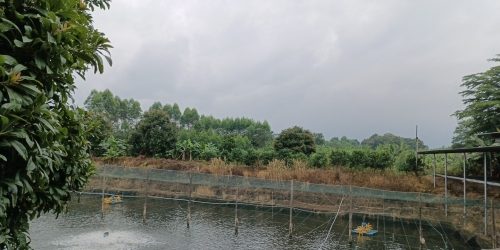 银塘钓鱼台