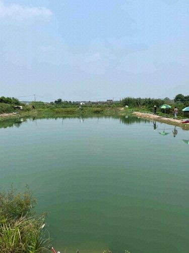 小浦南垂钓园