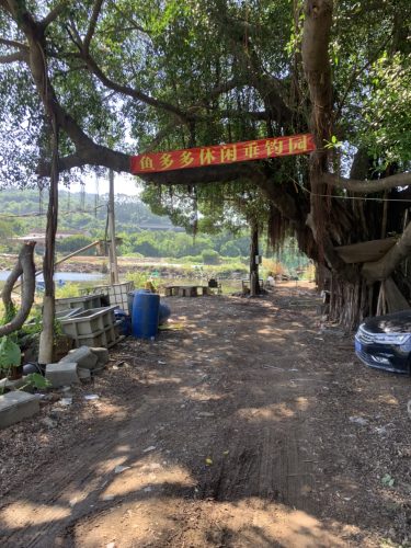 鱼多多休闲垂钓园(龙海区)