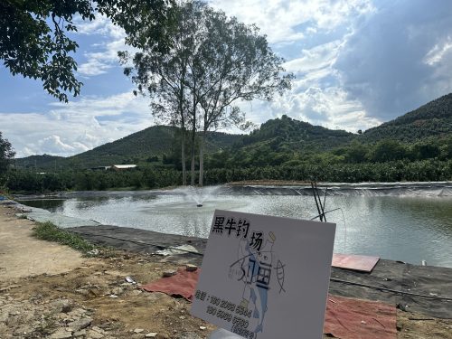 黑牛钓场