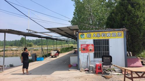 皖A乐钓巨物钓场