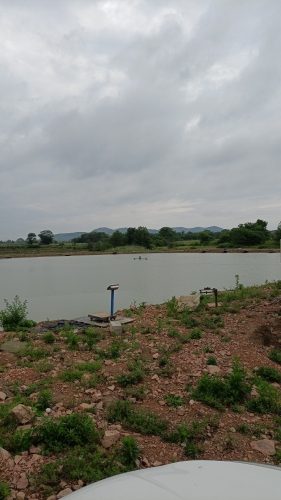 钓得多钓场