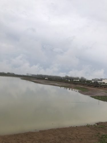 库钓鱼乐钓场