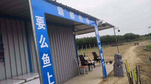 肥东霸都钓场