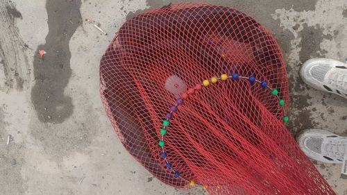 荥阳市莲花垂钓基地