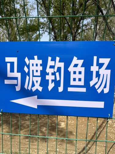 马渡钓鱼场