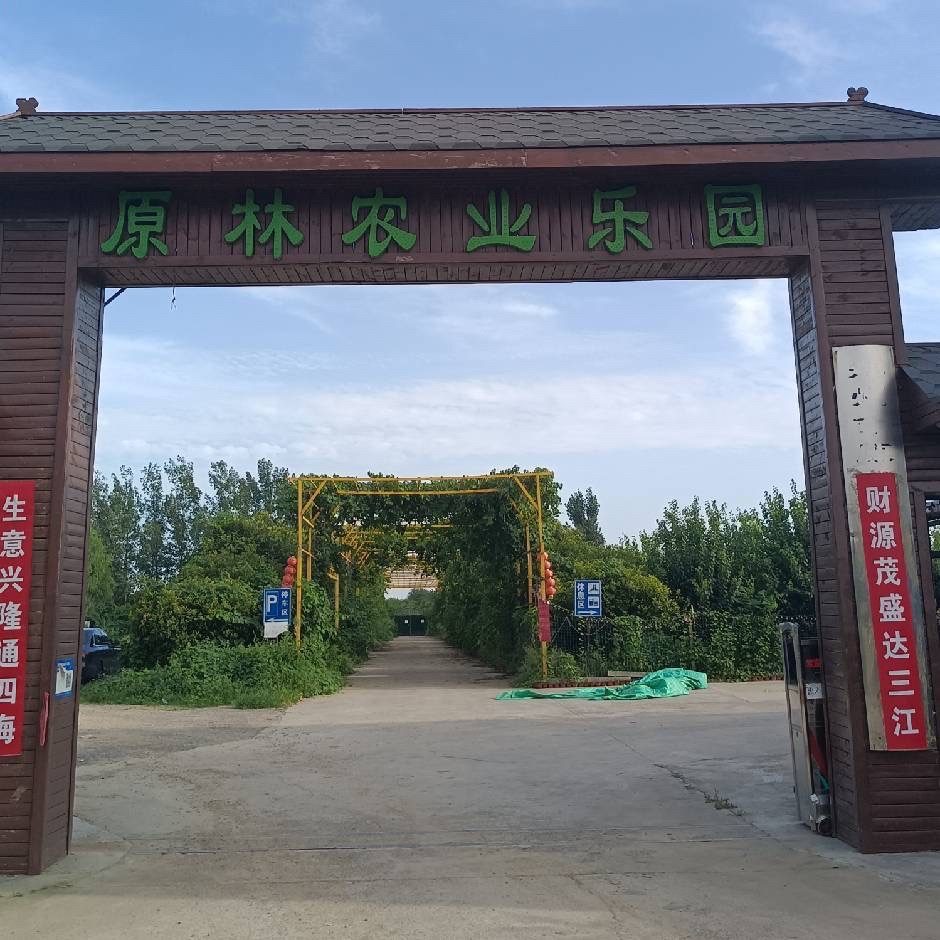 原林钓场