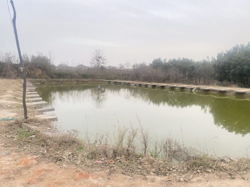 龙苑花木垂钓场