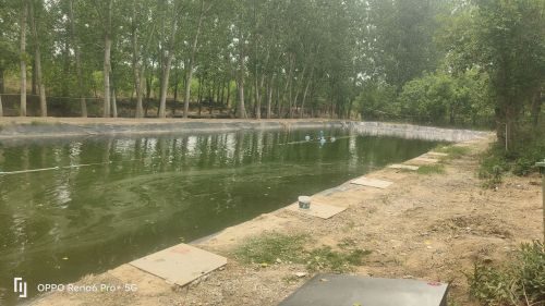 樊河垂钓园