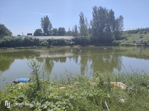 范河青龙大物钓场