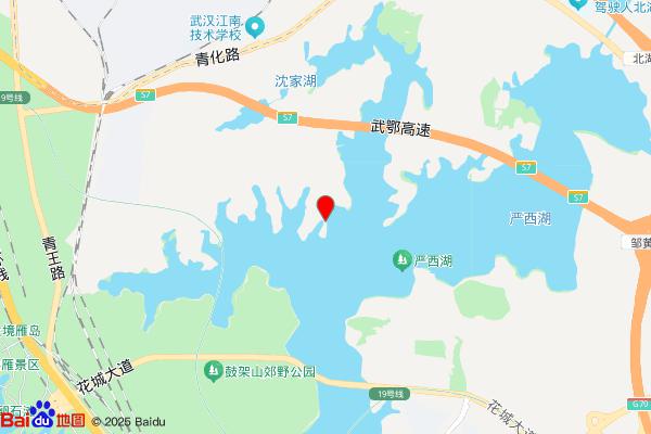 武汉市严西湖渔场