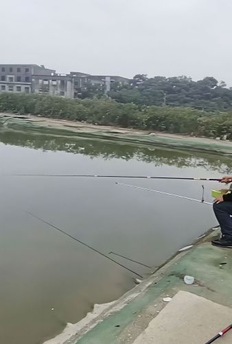 老三垂钓园
