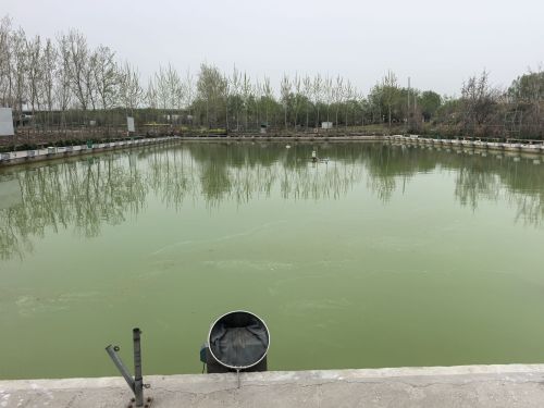 河湾垂钓园