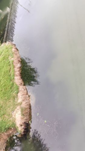 钓鱼
